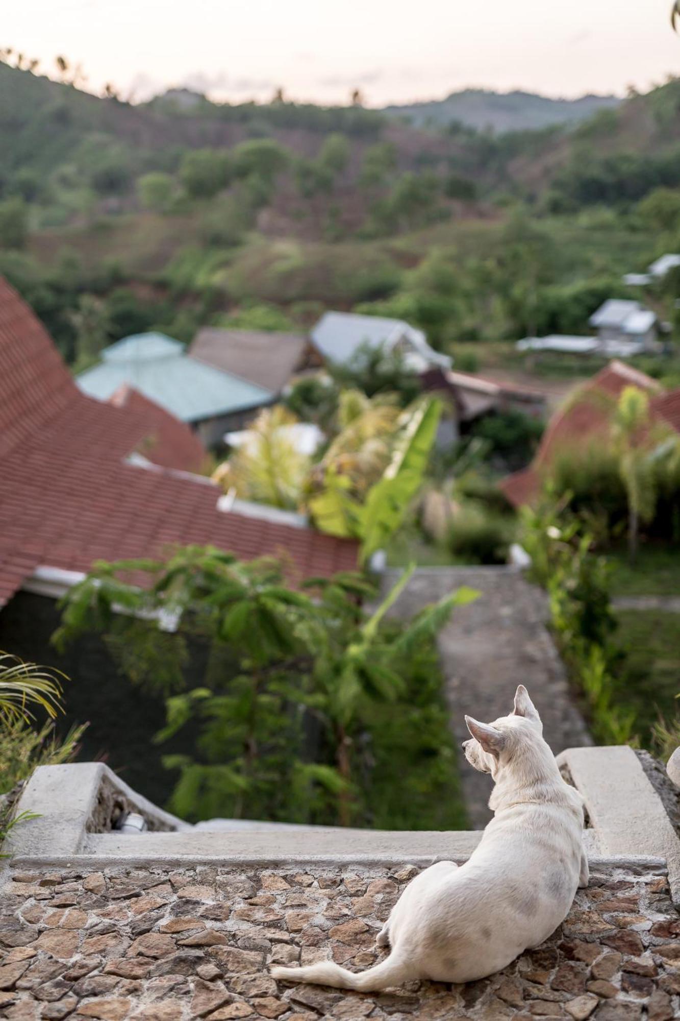 Drop In Surf Lodge Kuta  Luaran gambar